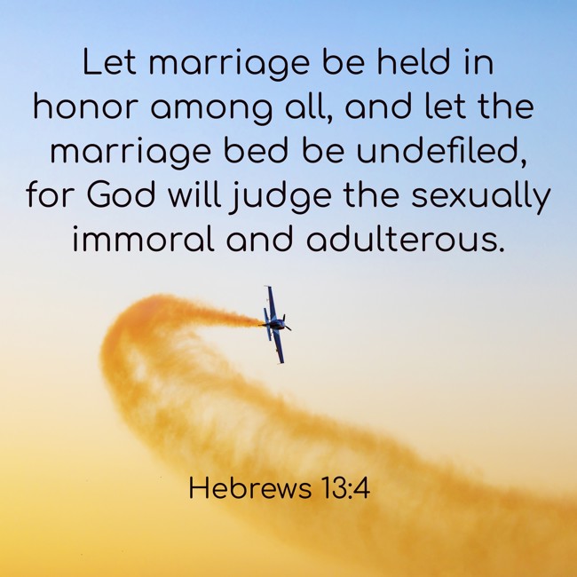 Let marriage be held in honor among all, and let the marriage bed be undefiled, for God will judge the sexually immoral and adulterous. - Hebrews 13:4