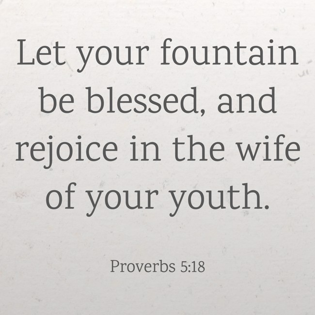 Let your fountain be blessed, and rejoice in the wife of your youth. - Proverbs 5:18