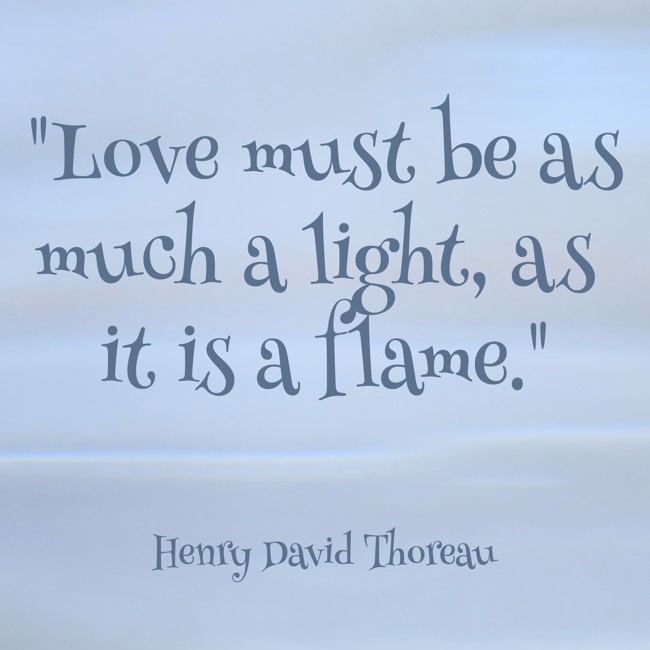 Love must be as much a light, as it is a flame. - Henry David Thoreau