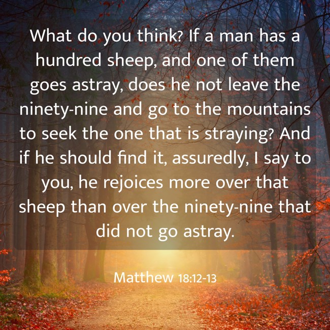 What do you think? If a man has a hundred sheep, and one of them goes astray, does he not leave the ninety-nine and go to the mountains to seek the one that is straying? And if he should find it, assuredly, I say to you, he rejoices more over that sheep than over the ninety-nine that did not go astray. - Matthew 18:12-13
