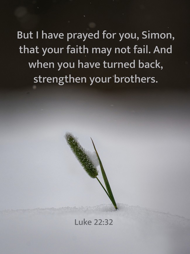 But I have prayed for you, Simon, that your faith may not fail. And when you have turned back, strengthen your brothers. - Luke 22:32