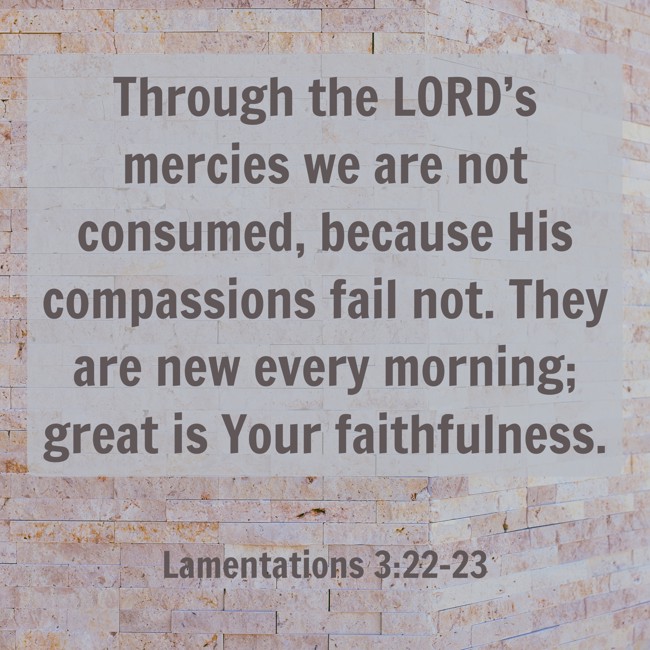 Through the LORD’s mercies we are not consumed, because His compassions fail not. They are new every morning; great is Your faithfulness. - Lamentations 3:22-23