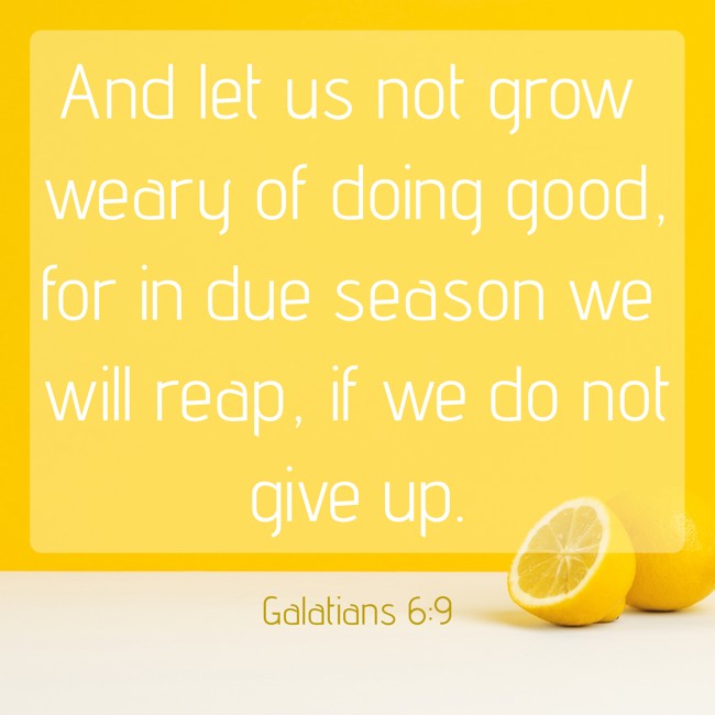  And let us not grow weary of doing good, for in due season we will reap, if we do not give up.   - Galatians 6:9 