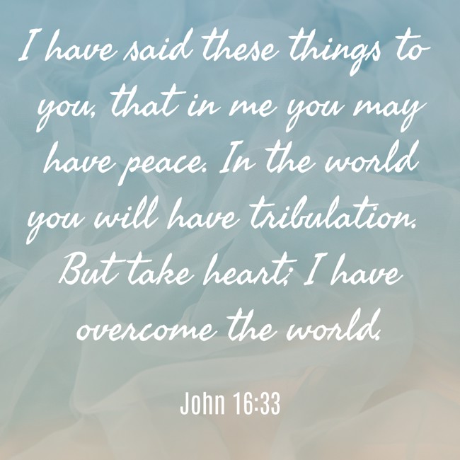  I have said these things to you, that in me you may have peace. In the world you will have tribulation. But take heart; I have overcome the world.   - John 16:33 