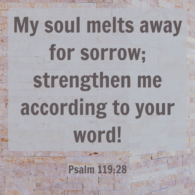  My soul melts away for sorrow; strengthen me according to your word!   - Psalm 119:28 