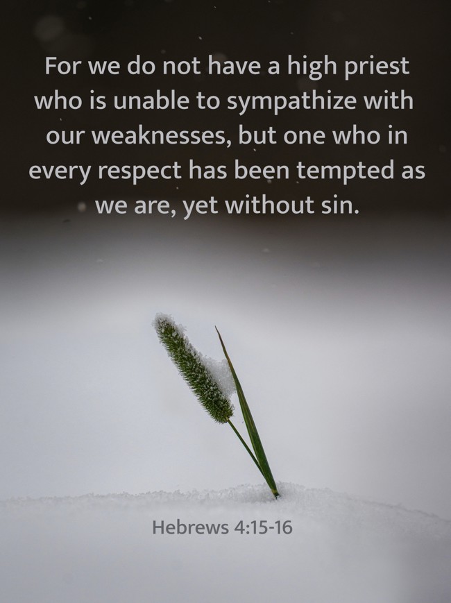  For we do not have a high priest who is unable to sympathize with our weaknesses, but one who in every respect has been tempted as we are, yet without sin.   - Hebrews 4:15-16 