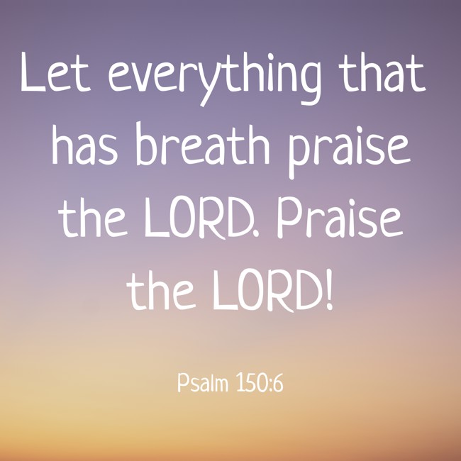 Let everything that has breath praise the LORD. Praise the LORD! - Psalm 150:6