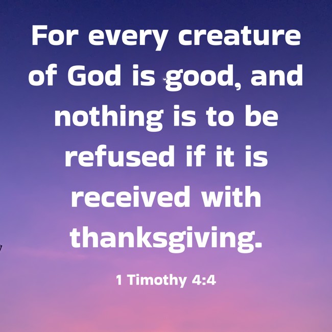 For every creature of God is good, and nothing is to be refused if it is received with thanksgiving. - 1 Timothy 4:4