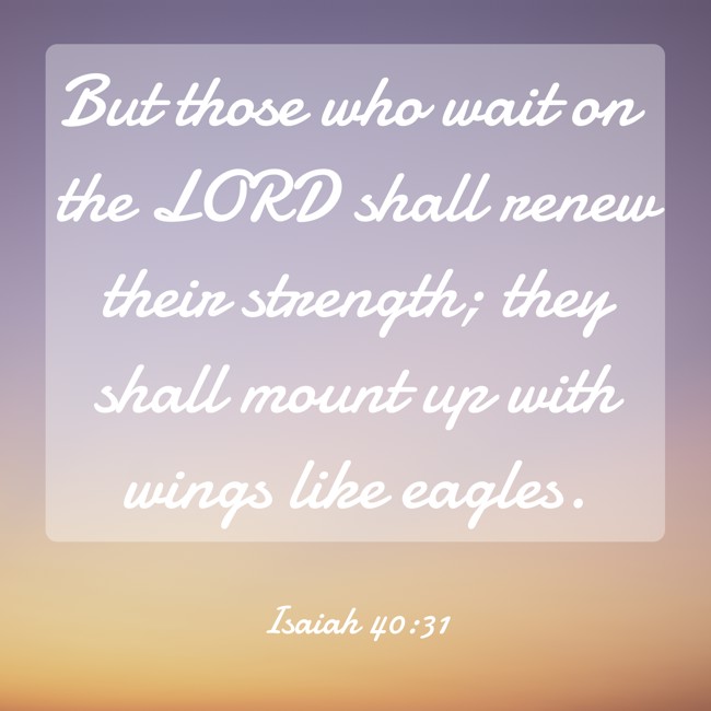 But those who wait on the LORD shall renew their strength; they shall mount up with wings like eagles. - Isaiah 40:31