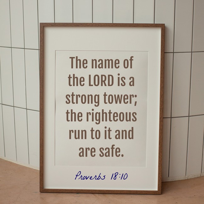 The name of the LORD is a strong tower; the righteous run to it and are safe. - Proverbs 18:10