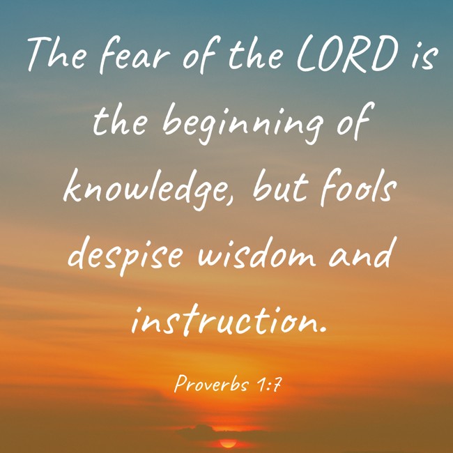 The fear of the LORD is the beginning of knowledge, but fools despise wisdom and instruction. - Proverbs 1:7