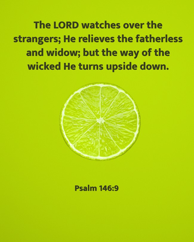 The LORD watches over the strangers; He relieves the fatherless and widow; but the way of the wicked He turns upside down. - Psalm 146:9