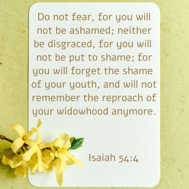 Do not fear, for you will not be ashamed; neither be disgraced, for you will not be put to shame; for you will forget the shame of your youth, and will not remember the reproach of your widowhood anymore. - Isaiah 54:4