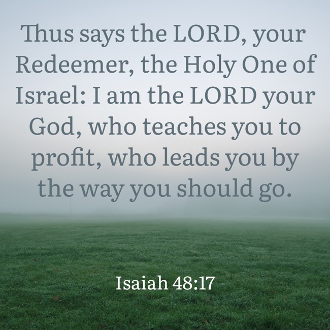 Thus says the LORD, your Redeemer, the Holy One of Israel: I am the LORD your God, who teaches you to profit, who leads you by the way you should go. - Isaiah 48:17