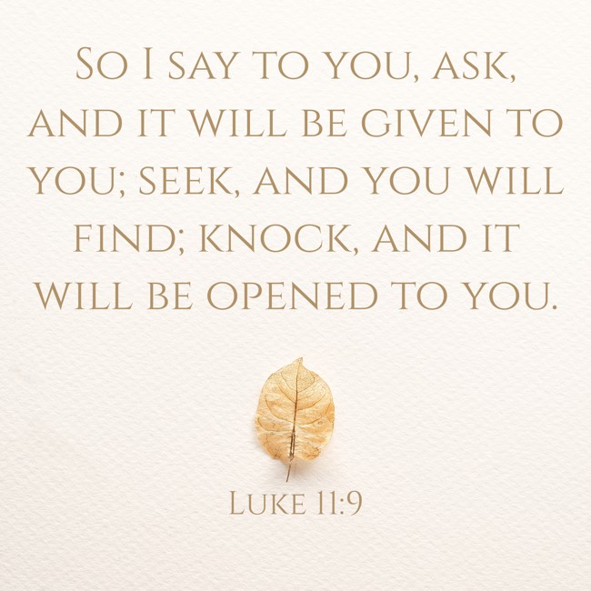 So I say to you, ask, and it will be given to you; seek, and you will find; knock, and it will be opened to you. - Luke 11:9