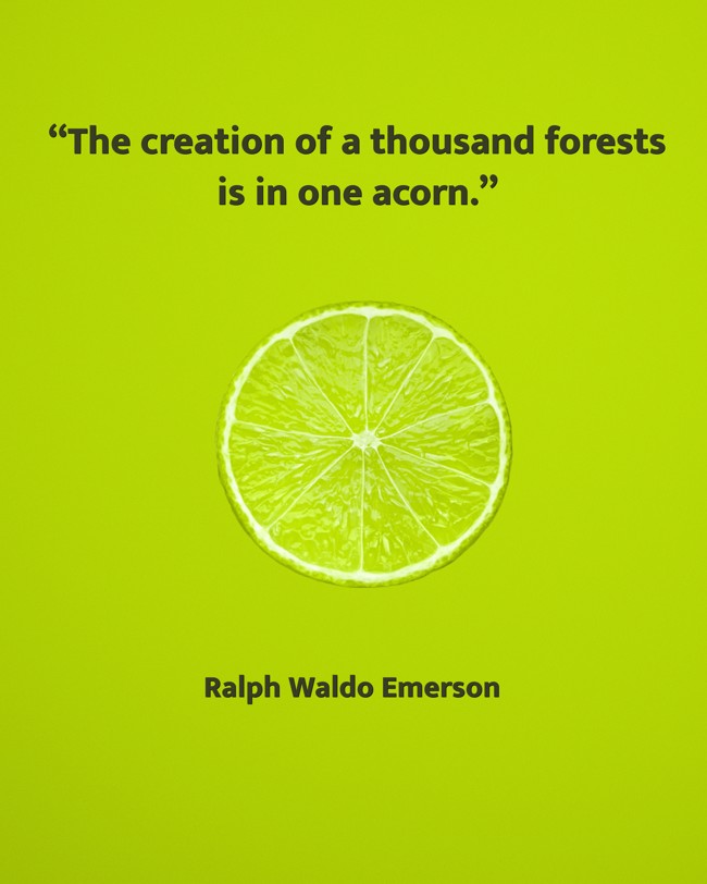 “The creation of a thousand forests is in one acorn.” - Ralph Waldo Emerson