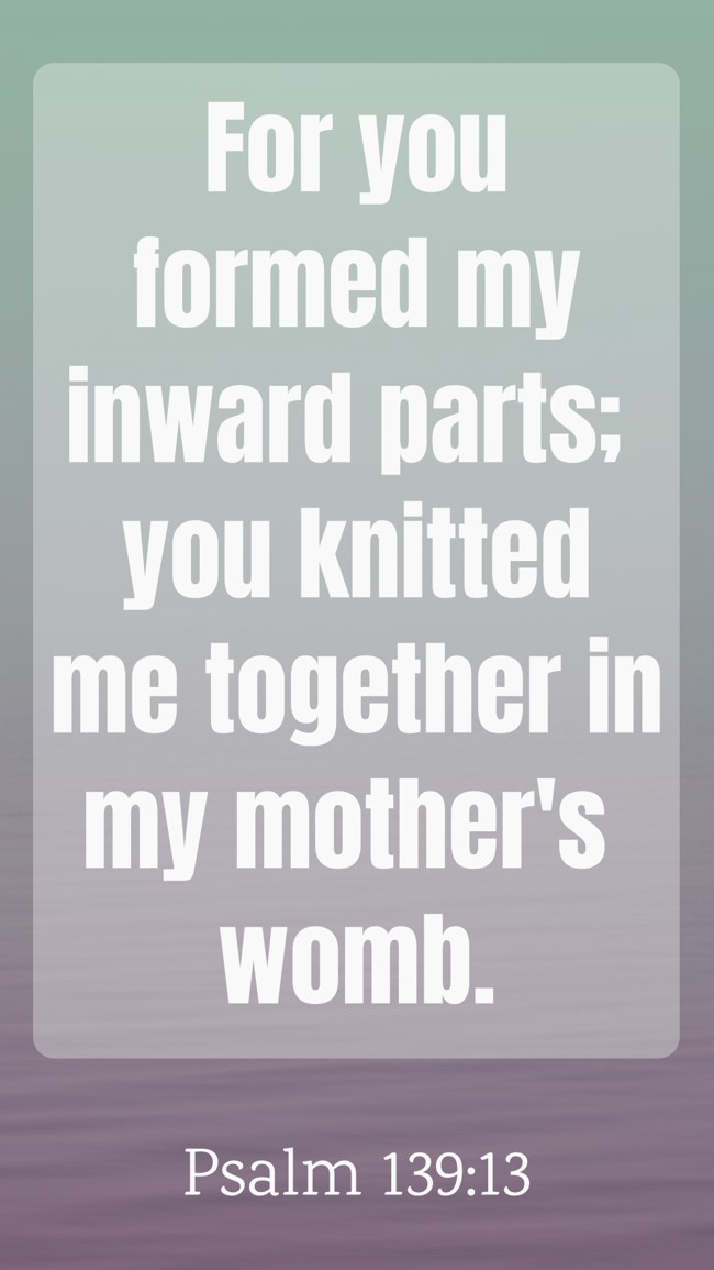 For you formed my inward parts; you knitted me together in my mother's womb. - Psalm 139:13