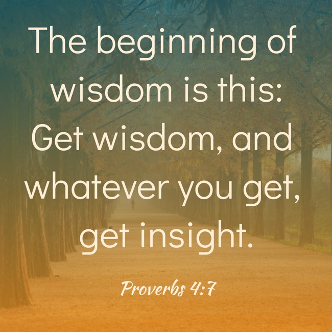 The beginning of wisdom is this: Get wisdom, and whatever you get, get insight. - Proverbs 4:7