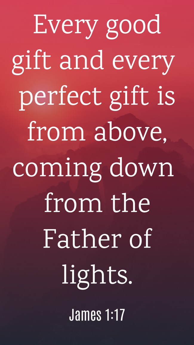 Every good gift and every perfect gift is from above, coming down from the Father of lights. - James 1:17