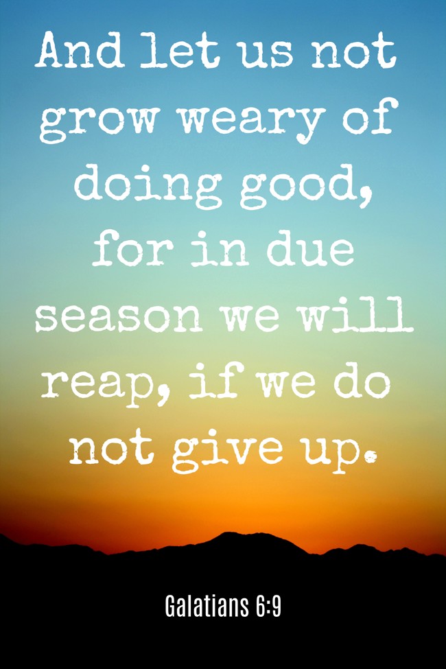 And let us not grow weary of doing good, for in due season we will reap, if we do not give up. - Galatians 6:9