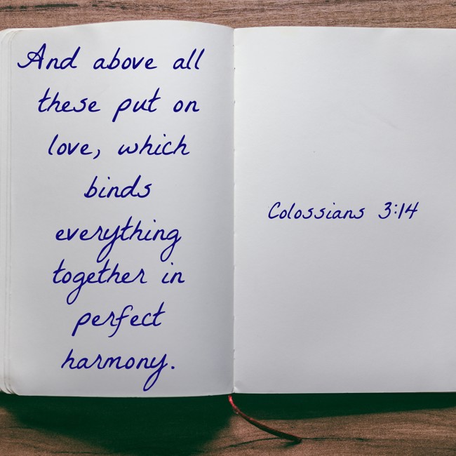And above all these put on love, which binds everything together in perfect harmony. - Colossians 3:14
