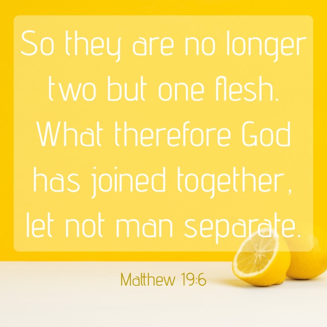 So they are no longer two but one flesh. What therefore God has joined together, let not man separate. - Matthew 19:6