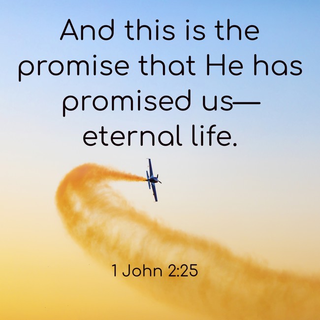And this is the promise that He has promised us—eternal life. - 1 John 2:25
