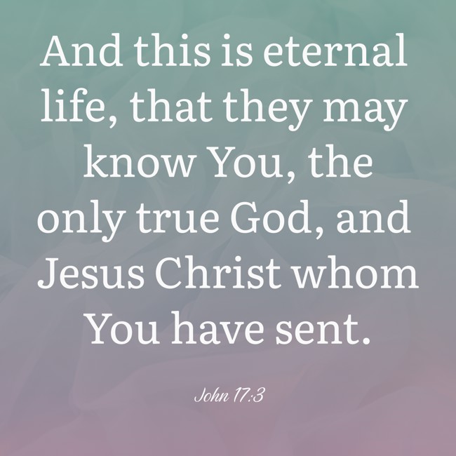 And this is eternal life, that they may know You, the only true God, and Jesus Christ whom You have sent. - John 17:3