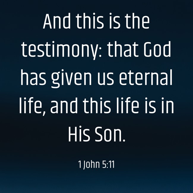And this is the testimony: that God has given us eternal life, and this life is in His Son. - 1 John 5:11