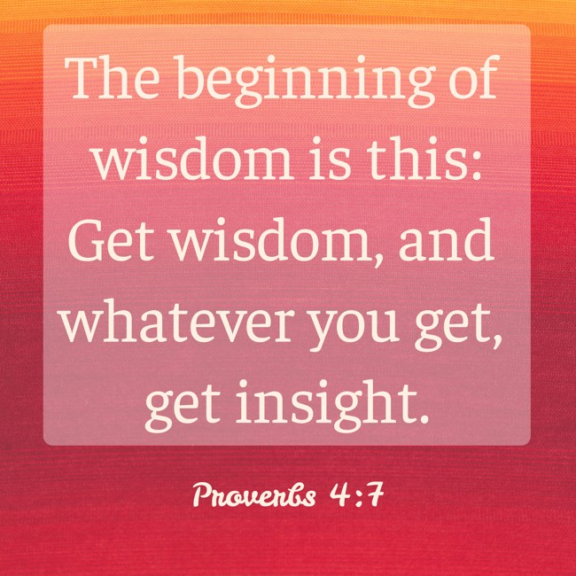 The beginning of wisdom is this: Get wisdom, and whatever you get, get insight. - Proverbs 4:7