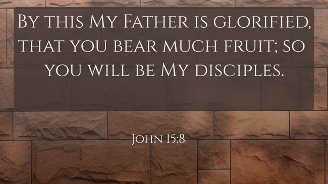 By this My Father is glorified, that you bear much fruit; so you will be My disciples. - John 15:8