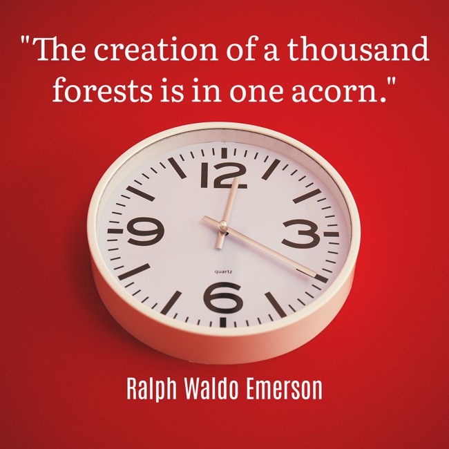 The creation of a thousand forests is in one acorn. - Ralph Waldo Emerson