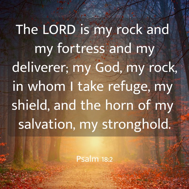 The LORD is my rock and my fortress and my deliverer; my God, my rock, in whom I take refuge, my shield, and the horn of my salvation, my stronghold. - Psalm 18:2