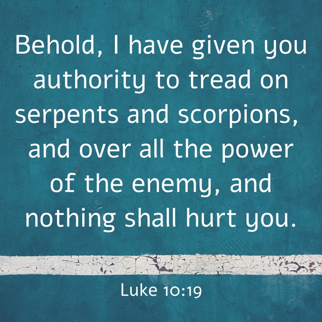 Behold, I have given you authority to tread on serpents and scorpions, and over all the power of the enemy, and nothing shall hurt you. - Luke 10:19