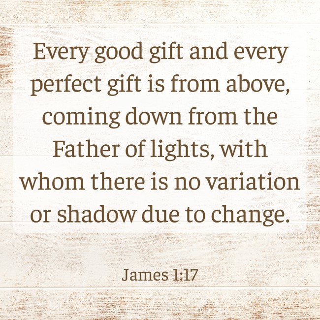 Every good gift and every perfect gift is from above, coming down from the Father of lights, with whom there is no variation or shadow due to change. - James 1:17