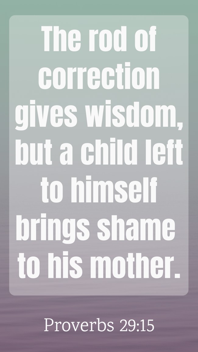 The rod of correction gives wisdom, but a child left to himself brings shame to his mother. - Proverbs 29:15