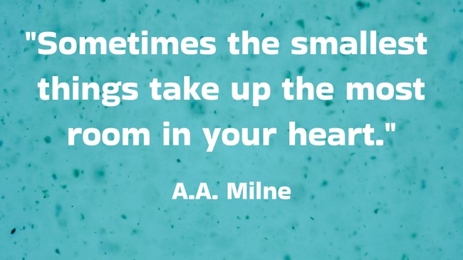 Sometimes the smallest things take up the most room in your heart. - A.A. Milne