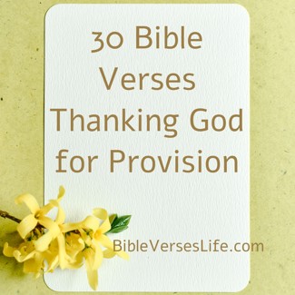 30 Bible Verses Thanking God for Provision