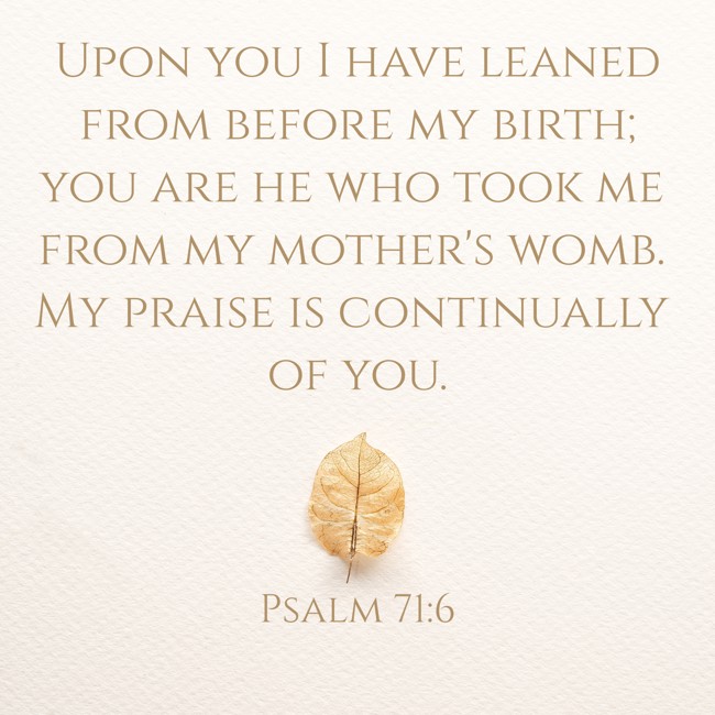 Upon you I have leaned from before my birth; you are he who took me from my mother's womb. My praise is continually of you. - Psalm 71:6