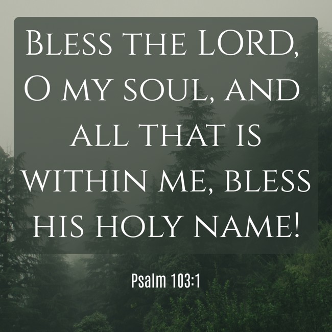Bless the LORD, O my soul, and all that is within me, bless his holy name! - Psalm 103:1