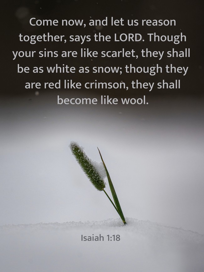 Come now, and let us reason together, says the LORD. Though your sins are like scarlet, they shall be as white as snow; though they are red like crimson, they shall become like wool. - Isaiah 1:18
