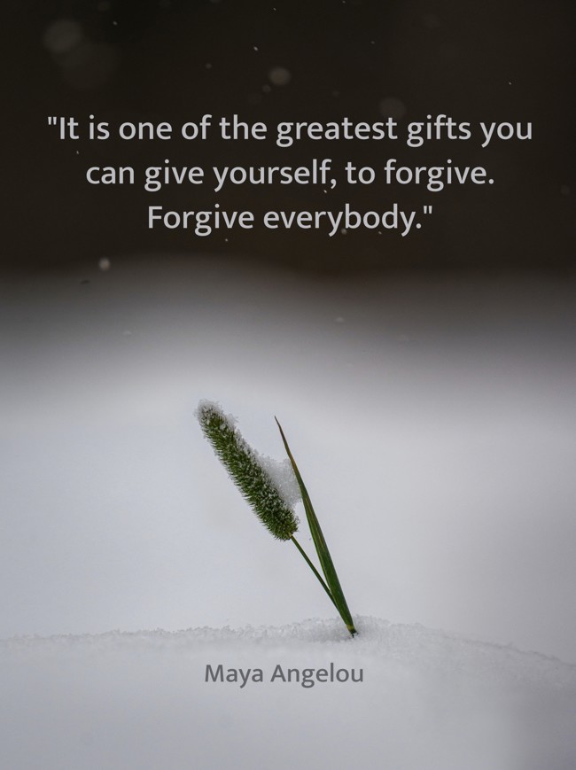 It is one of the greatest gifts you can give yourself, to forgive. Forgive everybody. - Maya Angelou