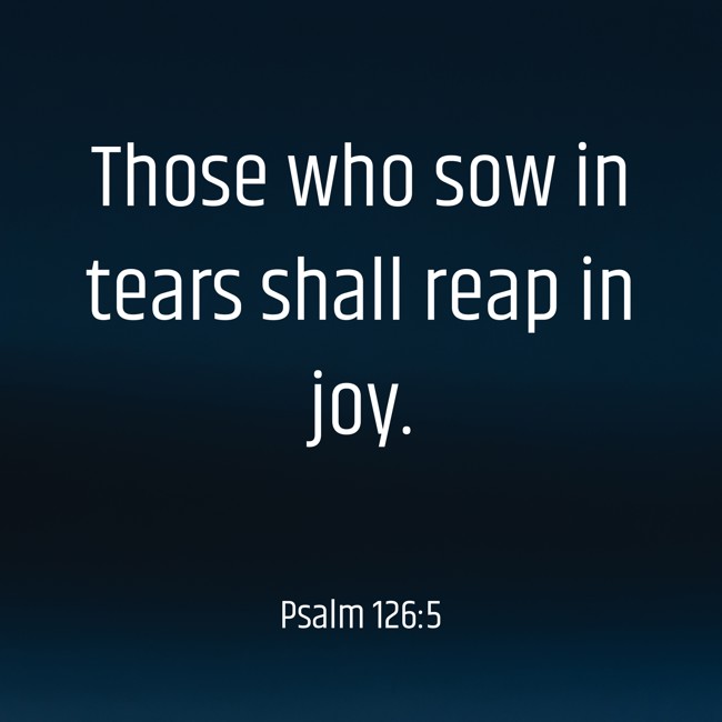Those who sow in tears shall reap in joy. - Psalm 126:5