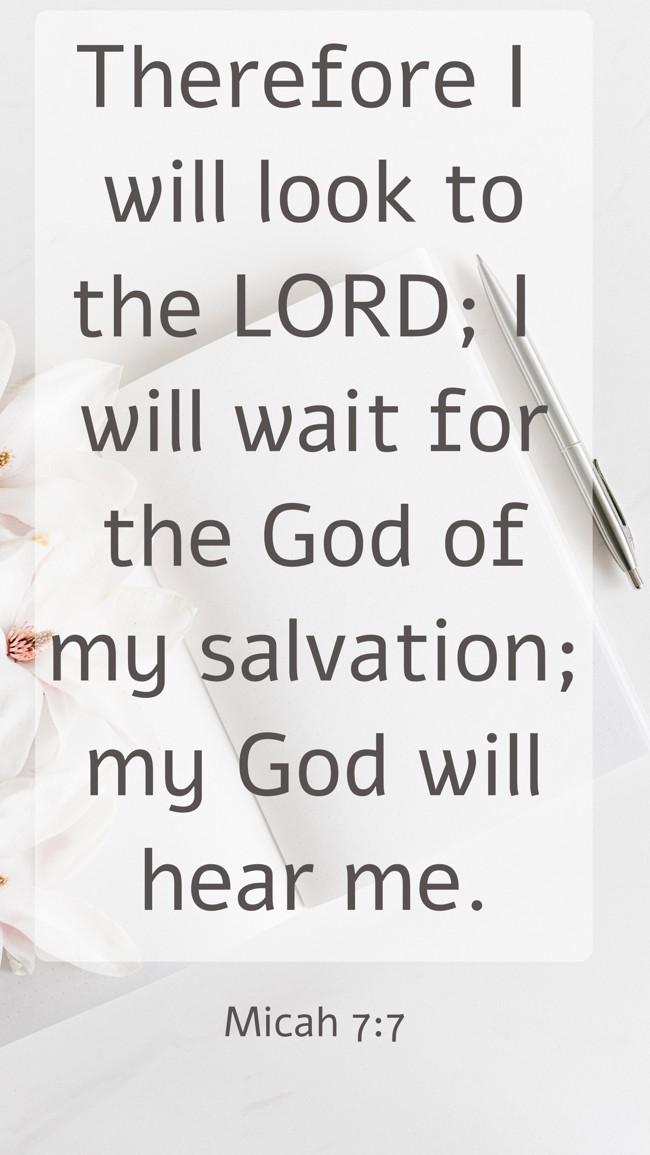 Therefore I will look to the LORD; I will wait for the God of my salvation; my God will hear me. - Micah 7:7