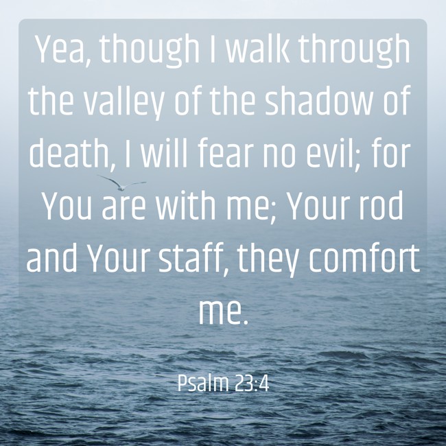 Yea, though I walk through the valley of the shadow of death, I will fear no evil; for You are with me; Your rod and Your staff, they comfort me. - Psalm 23:4