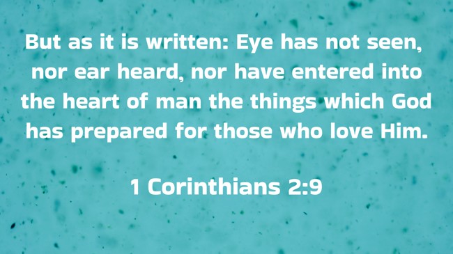 But as it is written: Eye has not seen, nor ear heard, nor have entered into the heart of man the things which God has prepared for those who love Him. - 1 Corinthians 2:9