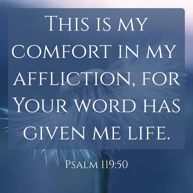This is my comfort in my affliction, for Your word has given me life. - Psalm 119:50