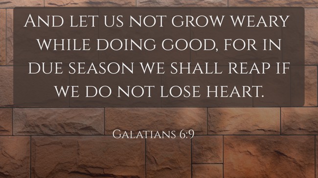 And let us not grow weary while doing good, for in due season we shall reap if we do not lose heart. - Galatians 6:9
