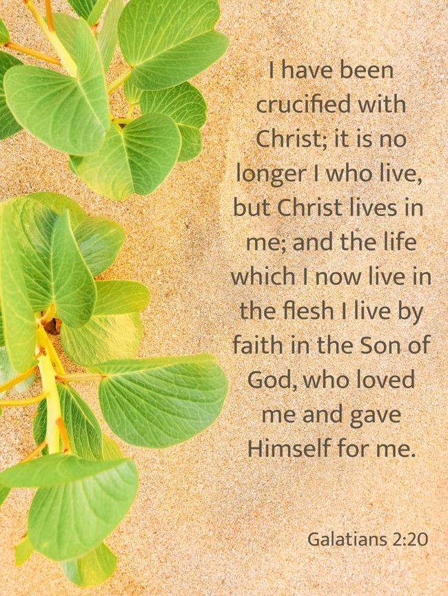I have been crucified with Christ; it is no longer I who live, but Christ lives in me; and the life which I now live in the flesh I live by faith in the Son of God, who loved me and gave Himself for me. - Galatians 2:20