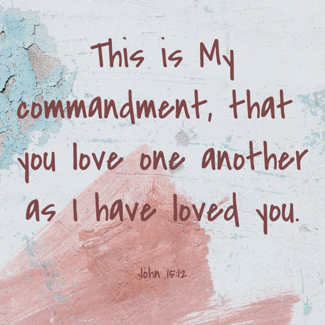 This is My commandment, that you love one another as I have loved you. - John 15:12